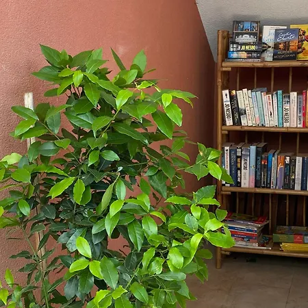 Peric スタリー・グラード